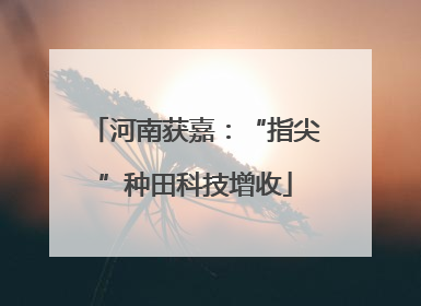 河南获嘉：“指尖”种田科技增收