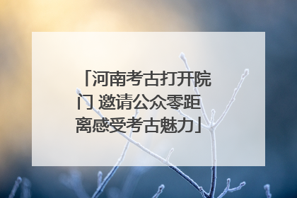河南考古打开院门 邀请公众零距离感受考古魅力