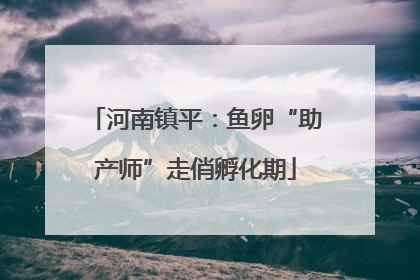 河南镇平：鱼卵“助产师”走俏孵化期