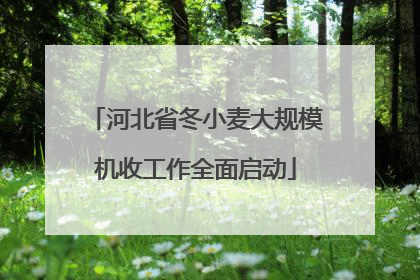河北省冬小麦大规模机收工作全面启动