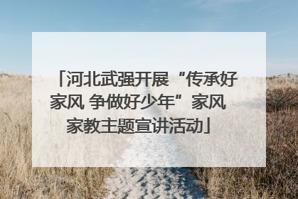 河北武强开展“传承好家风 争做好少年”家风家教主题宣讲活动