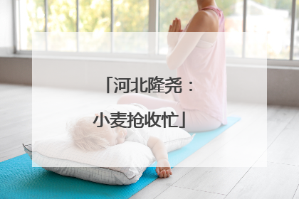 河北隆尧：小麦抢收忙