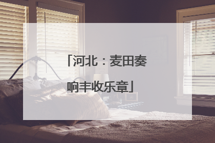 河北：麦田奏响丰收乐章