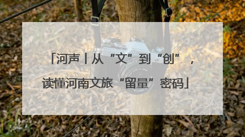 河声丨从“文”到“创”，读懂河南文旅“留量”密码