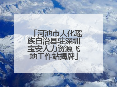 河池市大化瑶族自治县驻深圳宝安人力资源飞地工作站揭牌