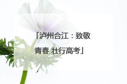 泸州合江：致敬青春 壮行高考