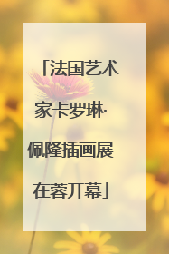 法国艺术家卡罗琳·佩隆插画展在蓉开幕