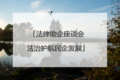 法律助企座谈会 法治护航民企发展