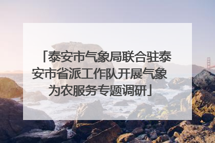 泰安市气象局联合驻泰安市省派工作队开展气象为农服务专题调研