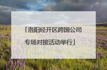 洛阳经开区跨国公司专场对接活动举行