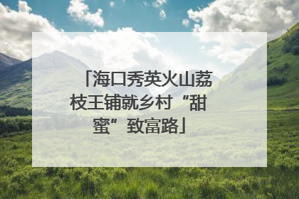 海口秀英火山荔枝王铺就乡村“甜蜜”致富路