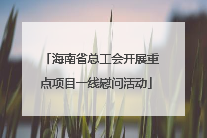 海南省总工会开展重点项目一线慰问活动
