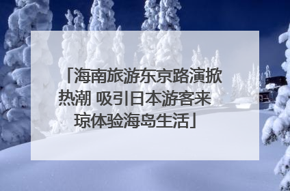 海南旅游东京路演掀热潮 吸引日本游客来琼体验海岛生活