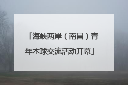 海峡两岸（南昌）青年木球交流活动开幕