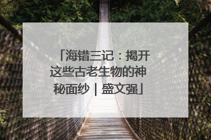 海错三记：揭开这些古老生物的神秘面纱｜盛文强