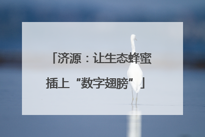 济源：让生态蜂蜜插上“数字翅膀”