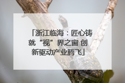 浙江临海：匠心铸就“视”界之窗 创新驱动产业腾飞