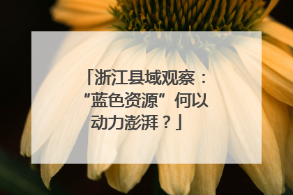 浙江县域观察：“蓝色资源”何以动力澎湃？