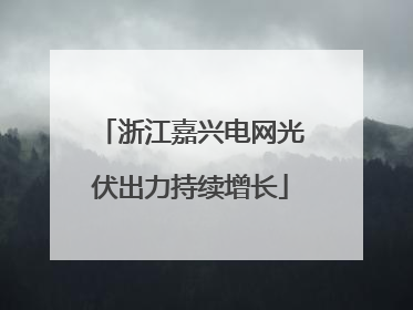 浙江嘉兴电网光伏出力持续增长