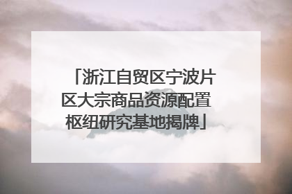 浙江自贸区宁波片区大宗商品资源配置枢纽研究基地揭牌