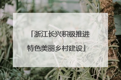 浙江长兴积极推进特色美丽乡村建设