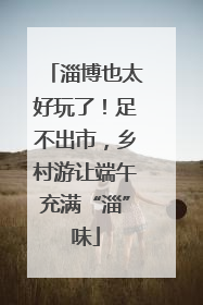 淄博也太好玩了！足不出市，乡村游让端午充满“淄”味