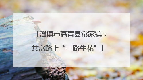 淄博市高青县常家镇：共富路上“一路生花”