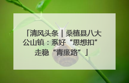 清风头条｜桑植县八大公山镇：系好“思想扣” 走稳“青廉路”