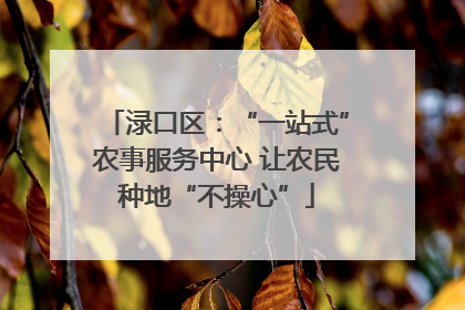 渌口区：“一站式”农事服务中心 让农民种地“不操心”