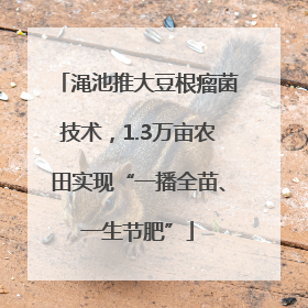 渑池推大豆根瘤菌技术，1.3万亩农田实现“一播全苗、一生节肥”