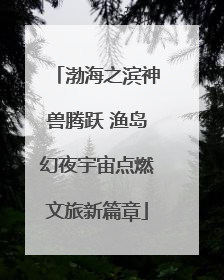 渤海之滨神兽腾跃 渔岛幻夜宇宙点燃文旅新篇章