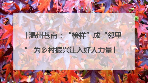温州苍南：“榜样”成“邻里” 为乡村振兴注入好人力量