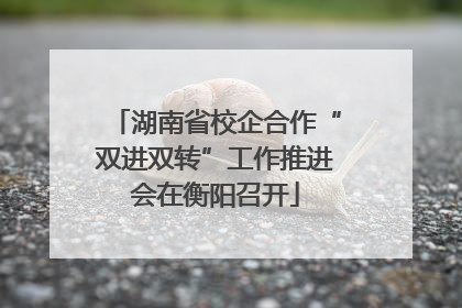 湖南省校企合作“双进双转”工作推进会在衡阳召开