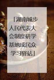 湖南城步人民代表大会制度研学基地成民众学习驿站