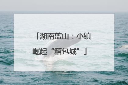 湖南蓝山：小镇崛起“箱包城”