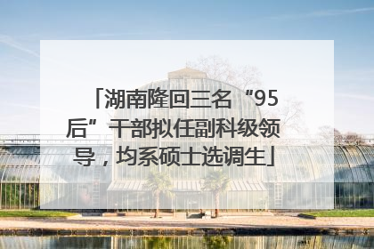 湖南隆回三名“95后”干部拟任副科级领导，均系硕士选调生