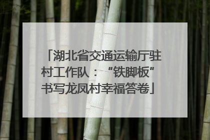 湖北省交通运输厅驻村工作队：“铁脚板”书写龙凤村幸福答卷