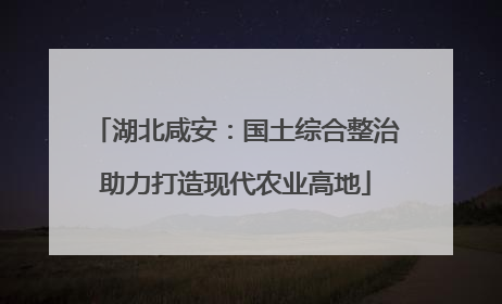 湖北咸安：国土综合整治助力打造现代农业高地