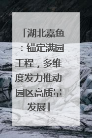 湖北嘉鱼：锚定满园工程，多维度发力推动园区高质量发展