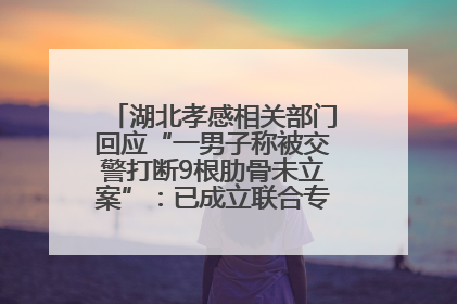 湖北孝感相关部门回应“一男子称被交警打断9根肋骨未立案”：已成立联合专班开展工作