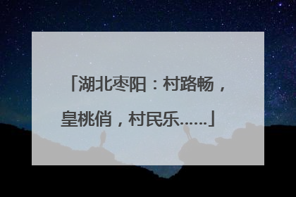 湖北枣阳：村路畅，皇桃俏，村民乐……