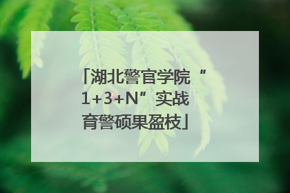 湖北警官学院“1+3+N”实战育警硕果盈枝