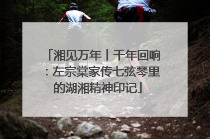 湘见万年丨千年回响：左宗棠家传七弦琴里的湖湘精神印记