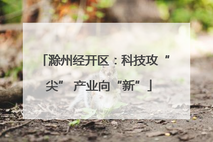 滁州经开区：科技攻“尖” 产业向“新”