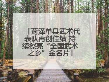 菏泽单县武术代表队再创佳绩 持续擦亮“全国武术之乡”金名片