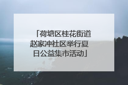 荷塘区桂花街道赵家冲社区举行夏日公益集市活动