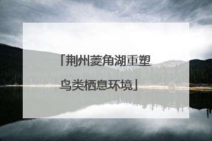 荆州菱角湖重塑鸟类栖息环境