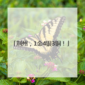 荆州，1金4银3铜！