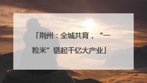 荆州：全城共育，“一粒米”链起千亿大产业