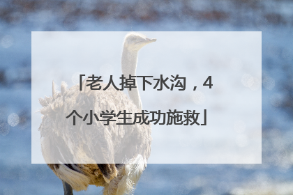 老人掉下水沟，4个小学生成功施救